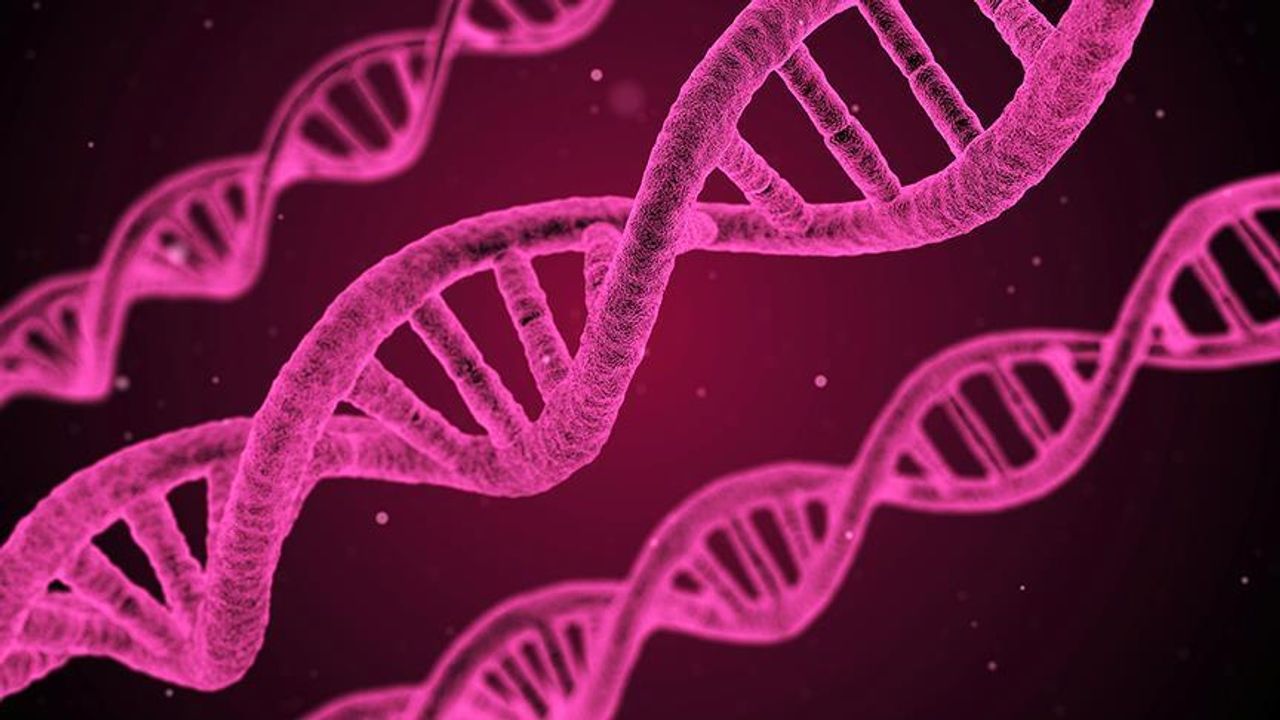 Kanser tedavisinde DNA nanorobotları devrede