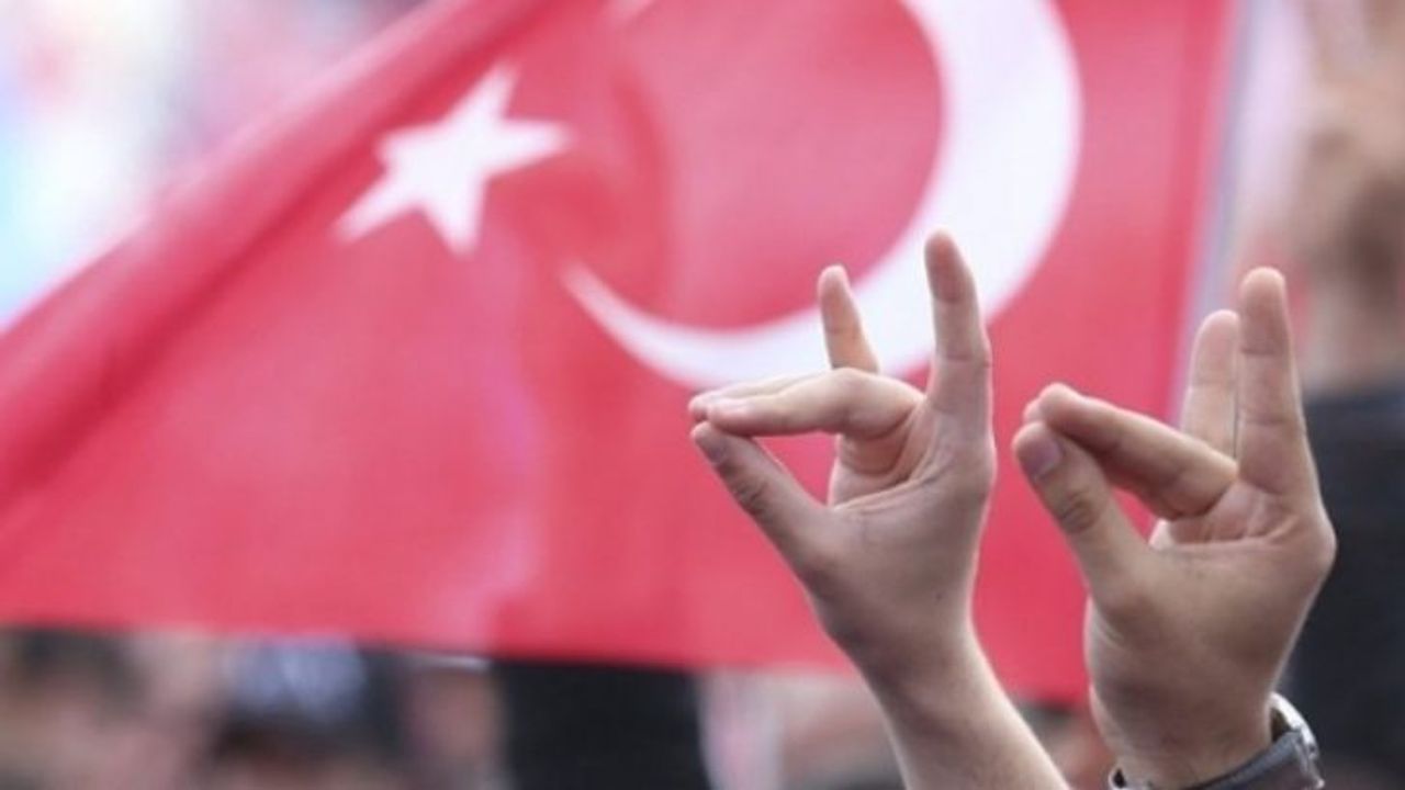 Almanya Bozkurt işaretini yasaklamak istiyor