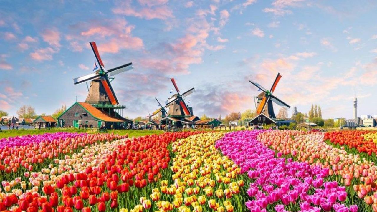 Hollanda artık turizm tanıtımı yapmayacak: Gelmeyin çok kalabalık