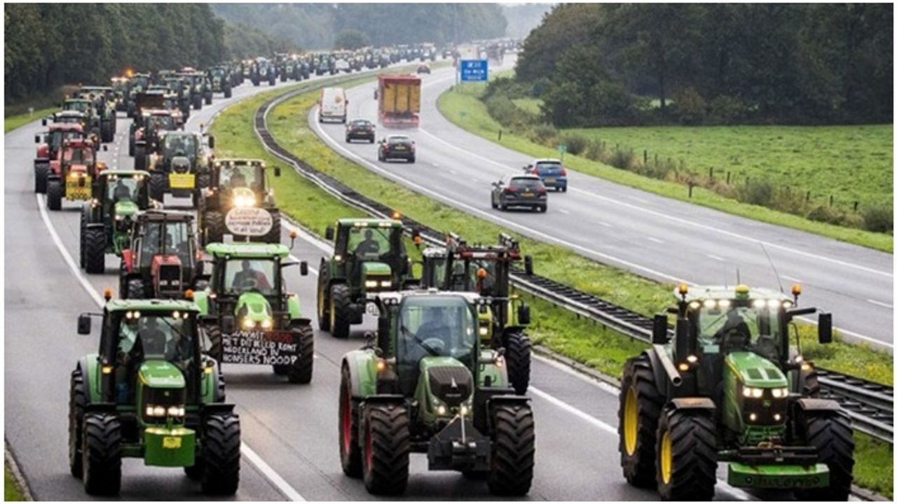 Hollanda'da yüzlerce çiftçi, hükümetin tarım politikasını protesto etti