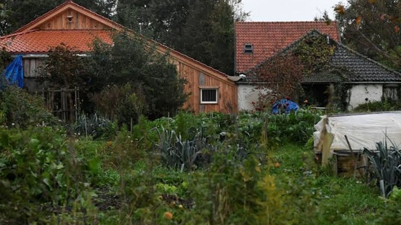 Hollanda'da çocuklarını zorla çiftlik evinde tutan babaya cinsel istismar suçlaması