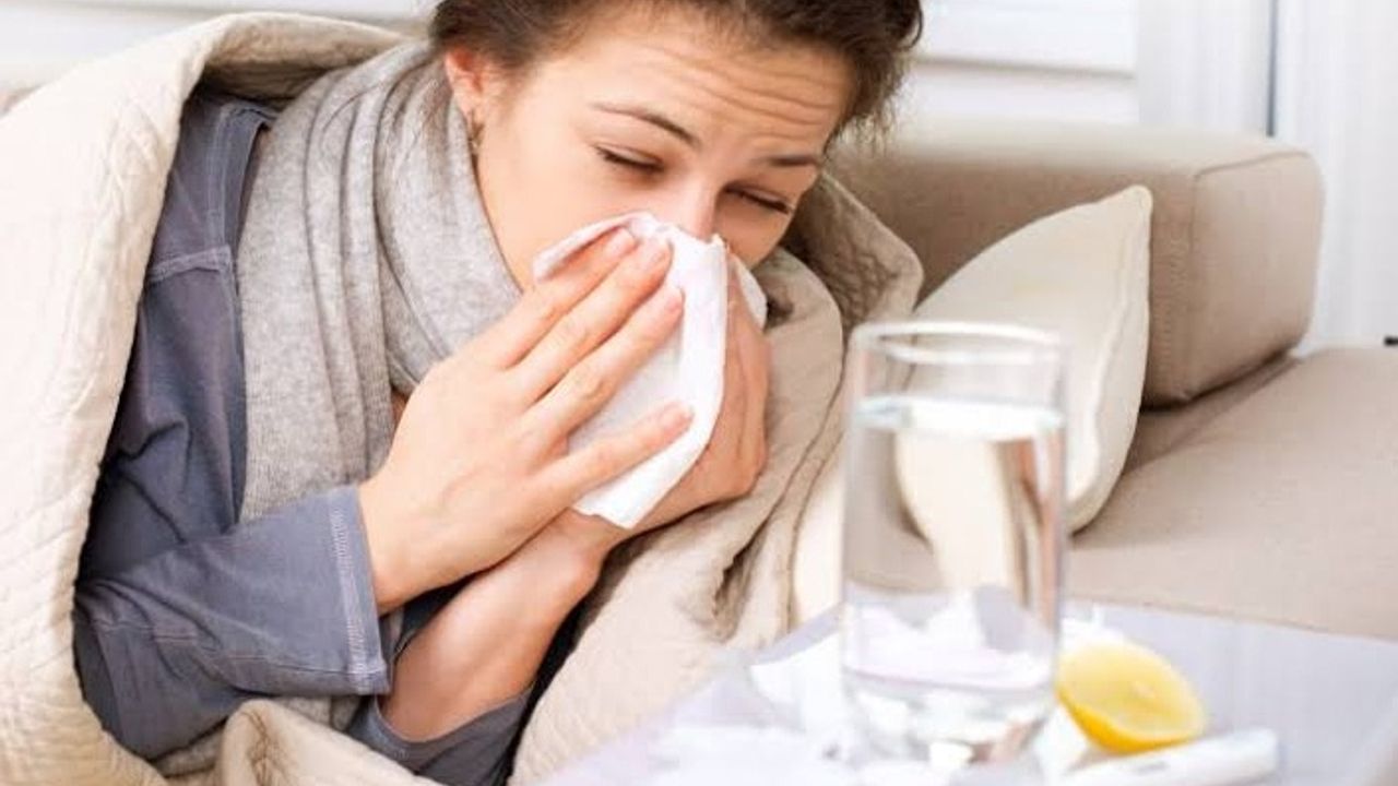 Hollanda'da grip salgını uyarısı