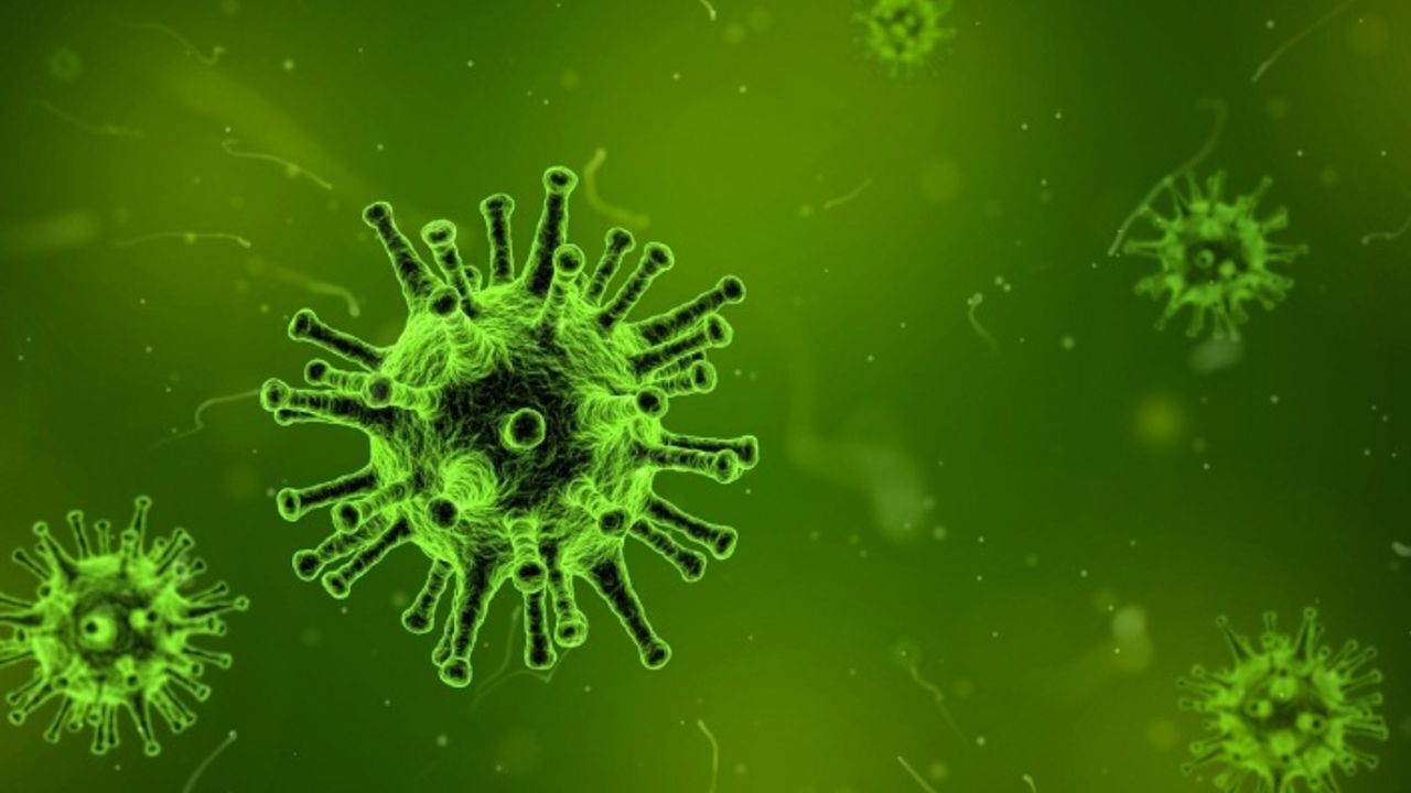 Koronavirüsün ardından yeni bir salgın daha ortaya çıktı! 6 Kişi öldü