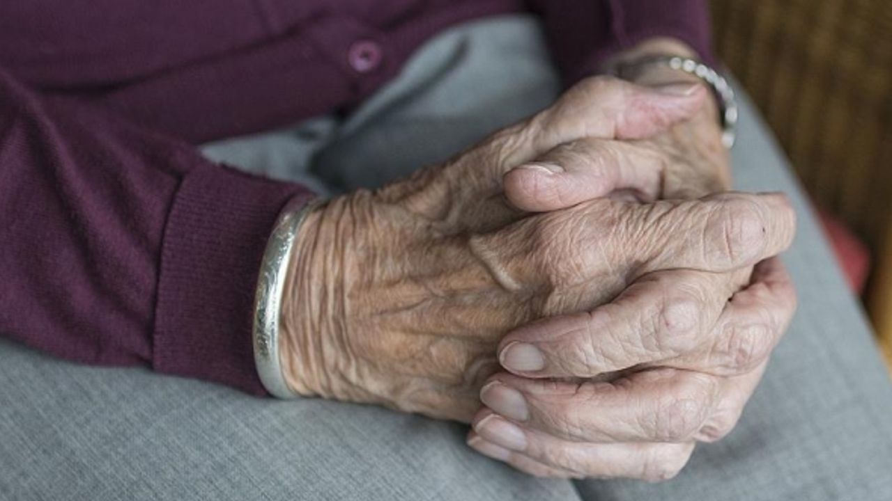 Hollanda'da 85 yaş üstü kişiler gelecek hafta aşılanmaya başlıyor