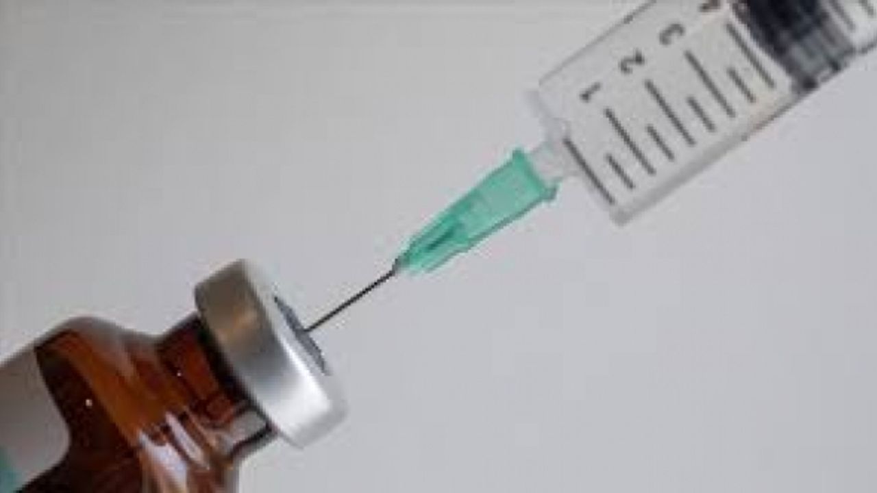 Hollanda'da yaklaşık 150 bin sağlık çalışanı aşı için randevu aldı
