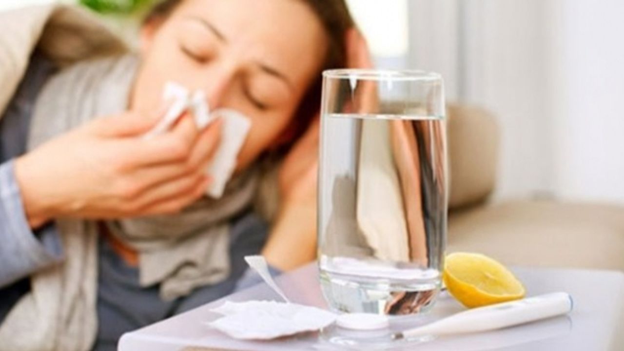 Hollanda'da bu kış grip vakası görülmediği açıklandı 
