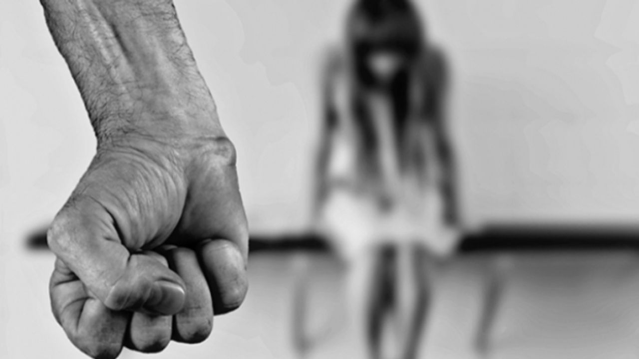 Hollanda'da çoğu kadın her beş gençten biri ev içi şiddet mağduru