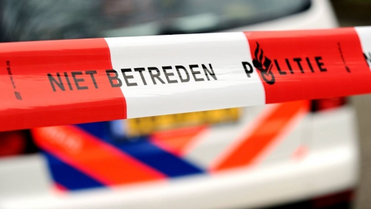 Hollanda'da polis, üzerine araç süren kişiyi vurarak durdurdu