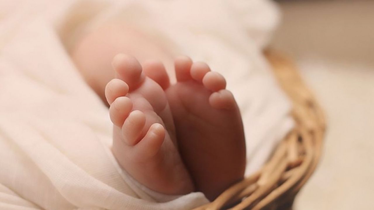 Belçika'da doğan bebeklerin yarısının annesi, yabancı veya yabancı kökenli