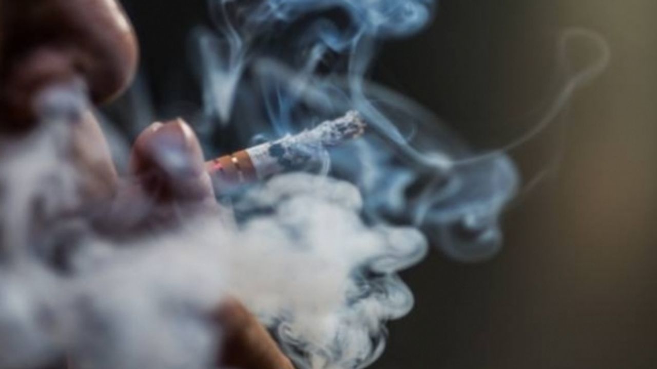 Hollanda’da özel şirketlerdeki sigara içme odaları kapatılıyor, kafelerdeki sigara makineleri de kaldırılıyor