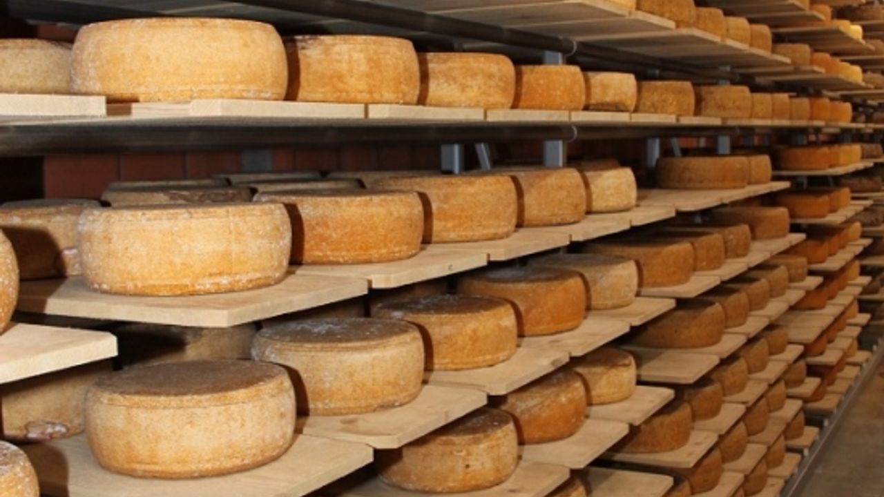 Almanya’da hırsızlar park halindeki bir kamyondan 230 kilo Edam peyniri çaldı