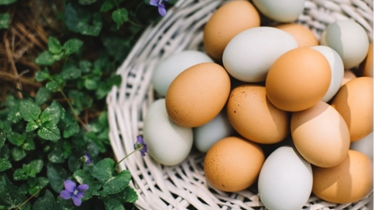 Hollanda’da 10’lu yumurtanın fiyatı bir yıl içinde yüzde 10,7 arttı!