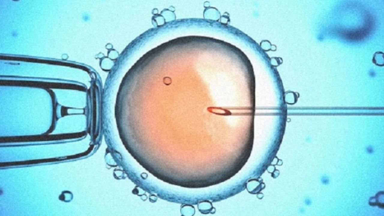 Hollanda’da hastalarında kendi spermini kullanan jinekoloğun ‘donör çocuk’ sayısı 50’yi geçti