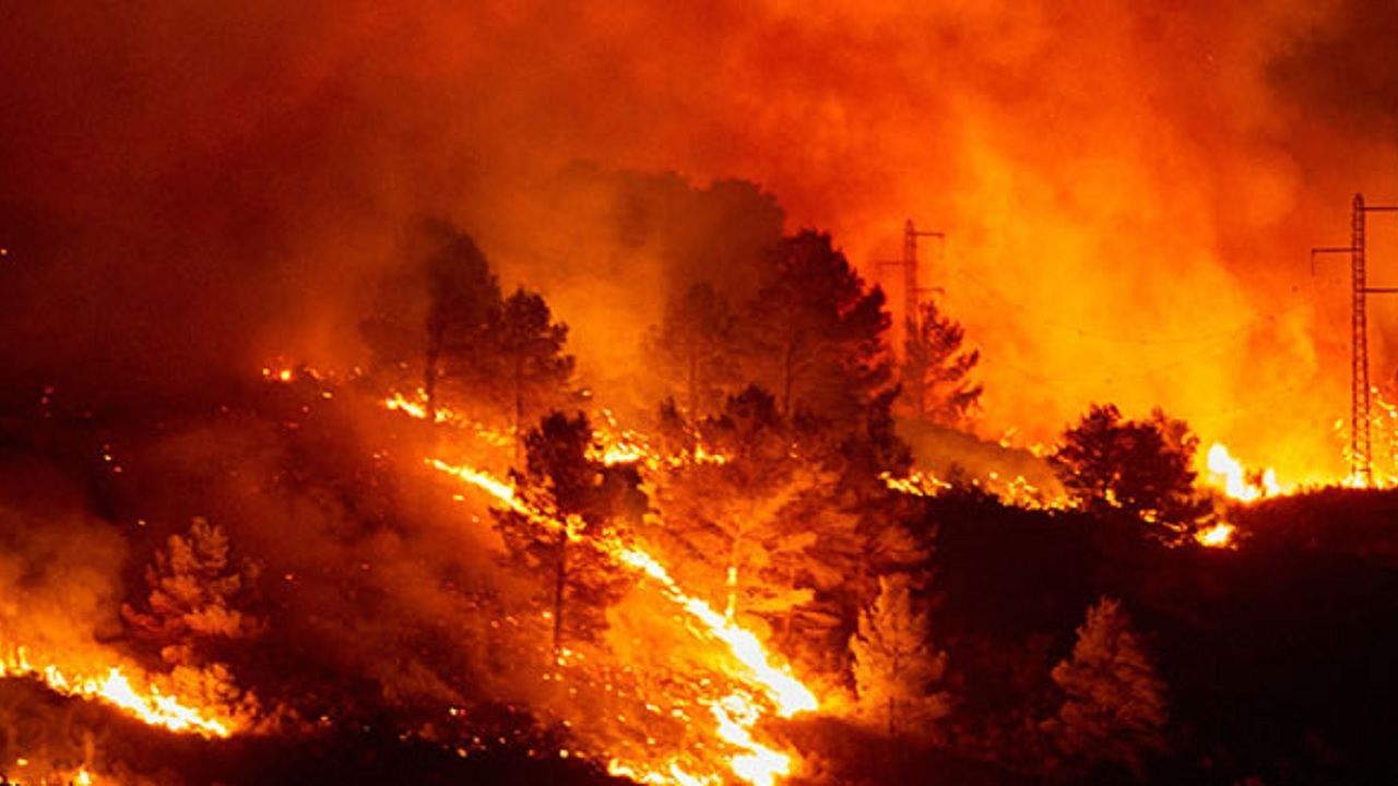 Hollandalı firma İspanya’daki yangından sorumlu olduğunu açıkladı