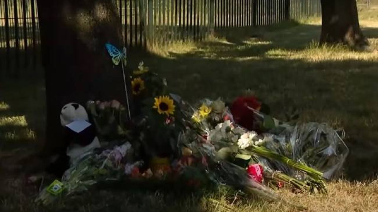 Hollanda’da öldürülen 9 yaşındaki Gino’nun annesi evinde ölü bulundu