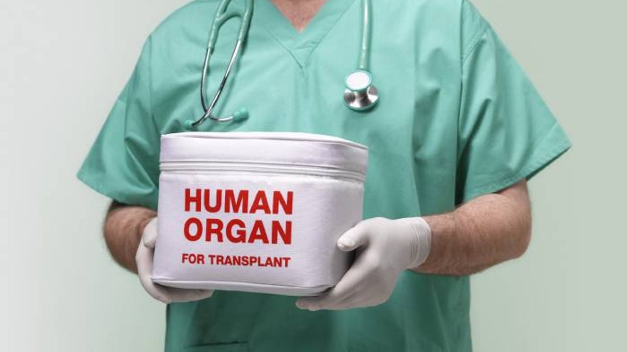Hollanda'da 2022'de organ bağışçı sayısı arttı, 860 organ nakli gerçekleşti