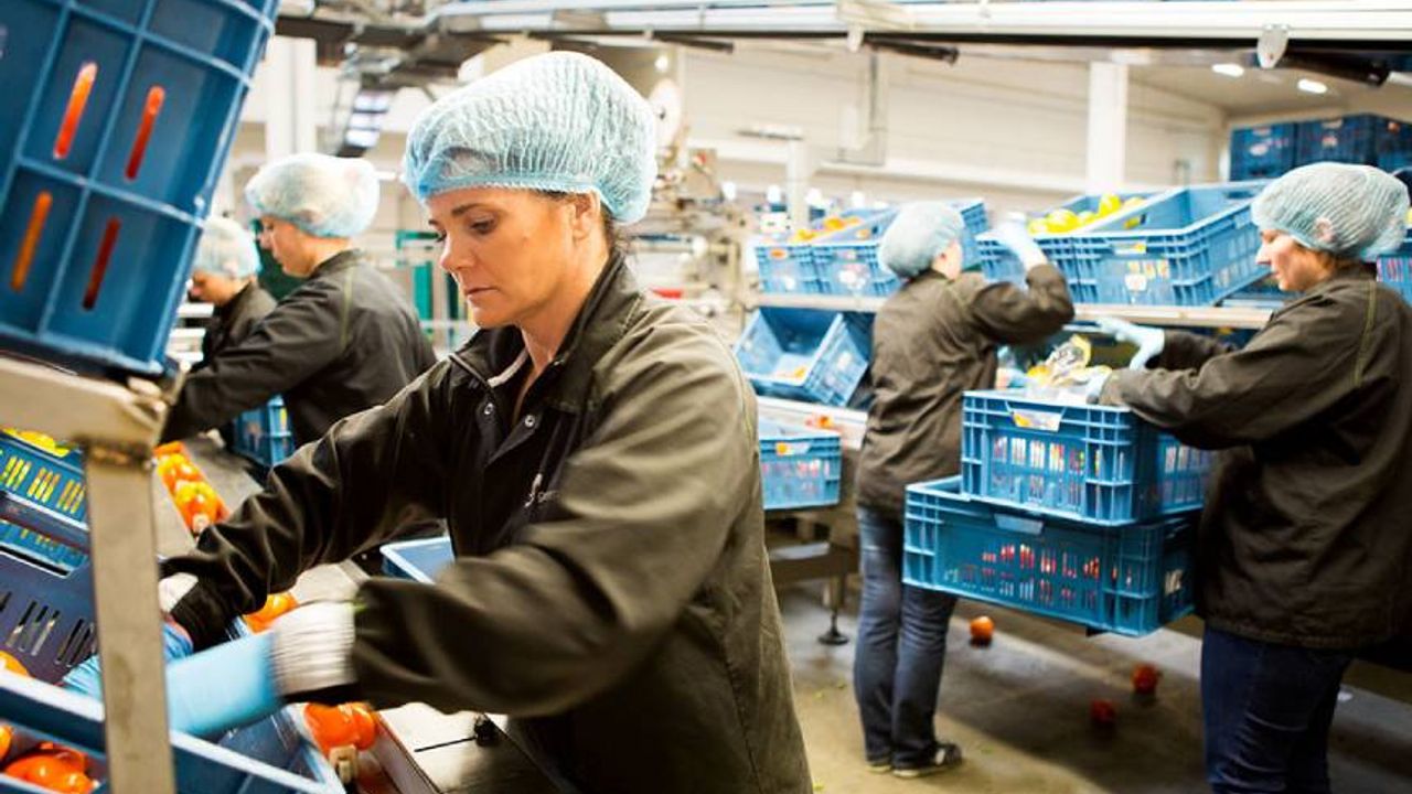 Hollanda’da her 10 çalışandan 1'i ayrımcılığa uğradığını düşünüyor
