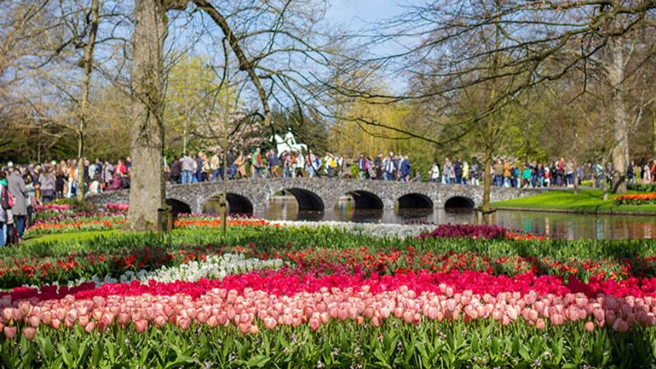 Hollanda'nın en büyük lale bahçesi Keukenhof, kapılarını ziyaretçilere açtı