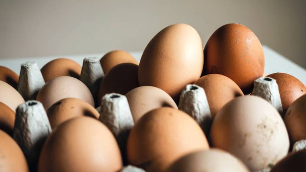 Hollanda’da son bir yılda yumurtanın fiyatı yüzde 26 arttı