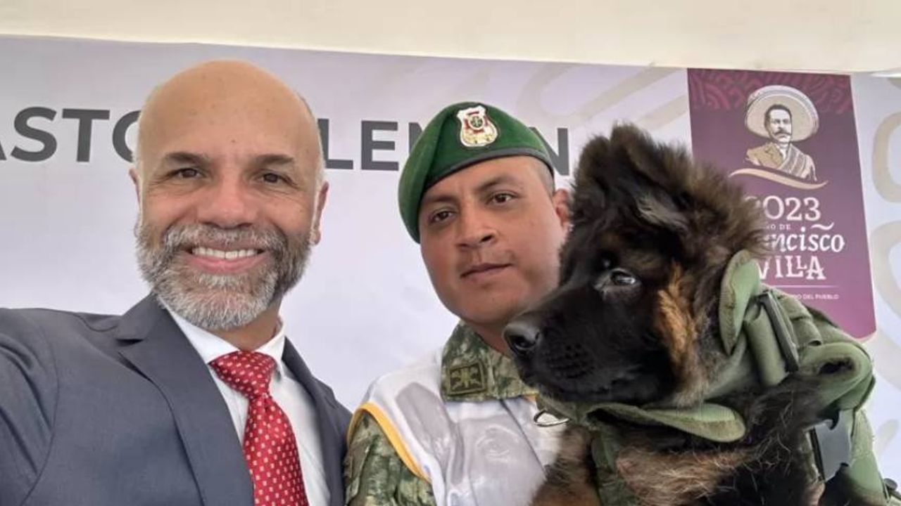 Türkiye'nin teşekkür için Meksika'ya gönderdiği yavru köpeğe ‘Arkadaş’ ismi verildi