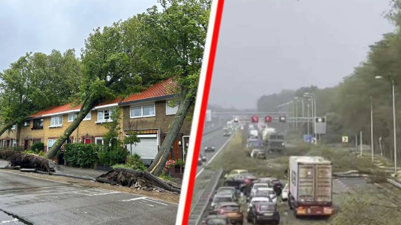 Hollanda’da şiddetli fırtına: Bir kişi hayatını kaybetti!