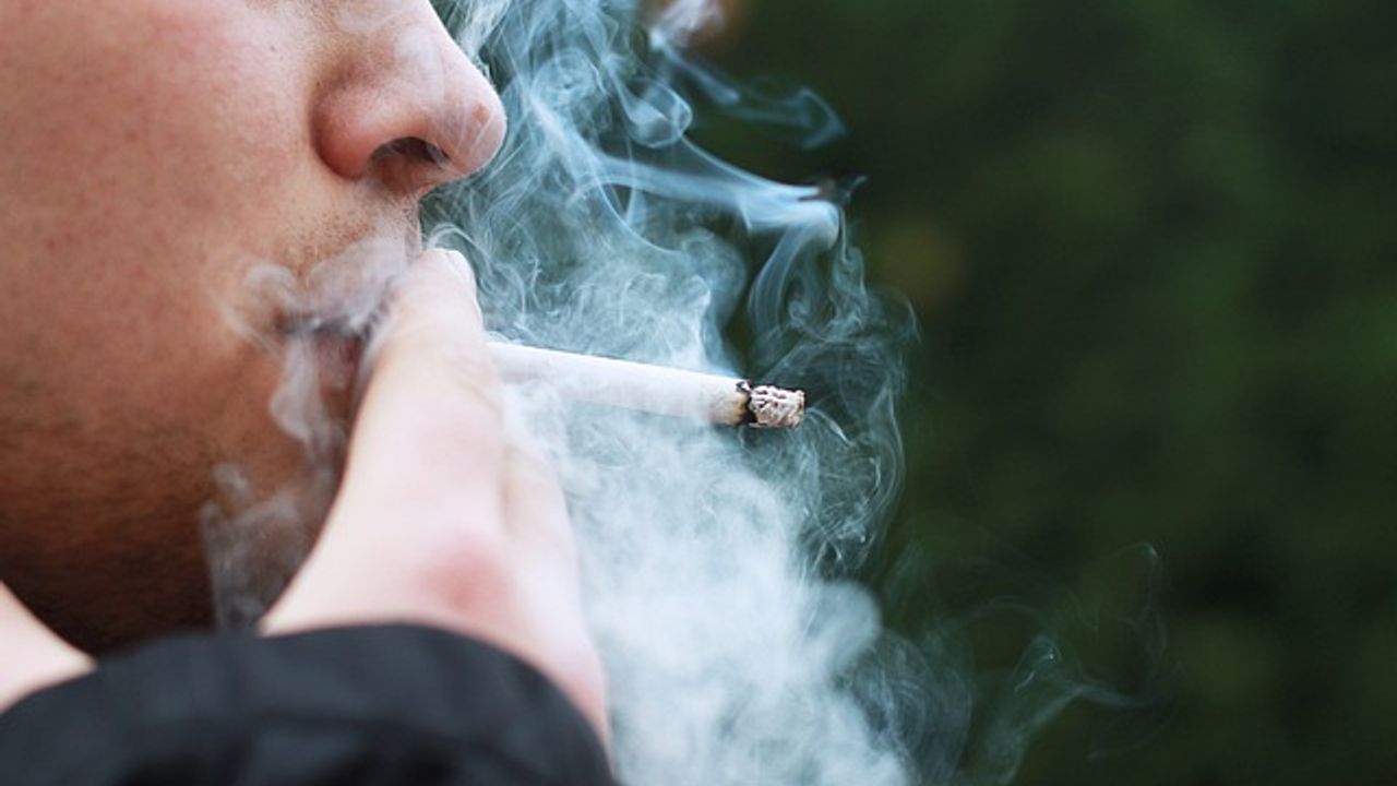 Hollanda’da kanser vakalarında en önde gelen neden: Sigara kullanmak