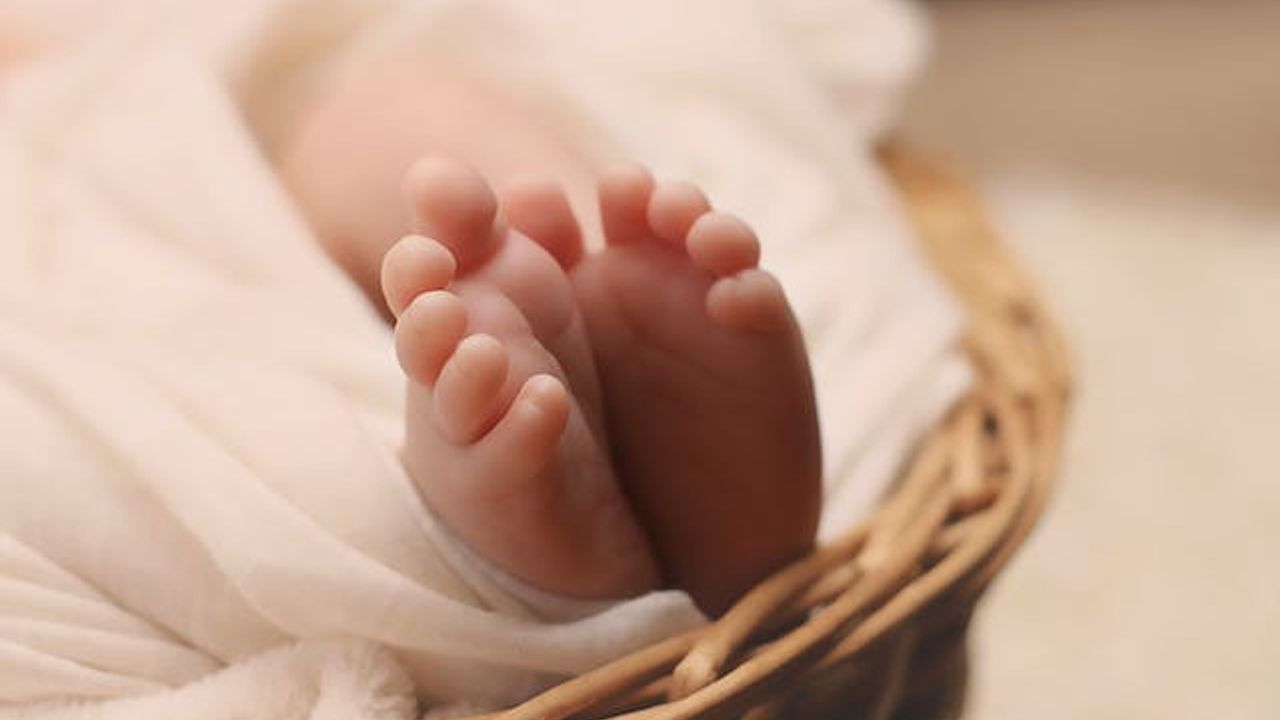Hollanda'da Amsterdam ve Rotterdam şehirlerinde yetim bebek odaları açıldı