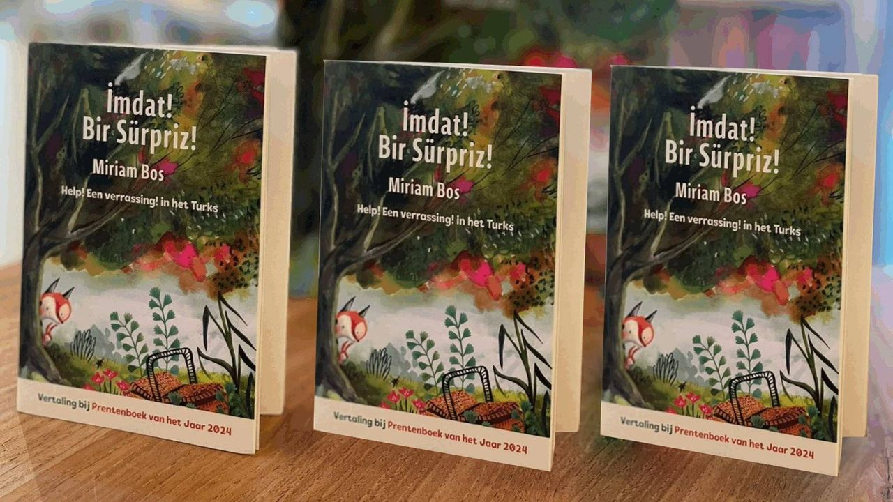 Hollanda'da 10 şehirde, 17 kütüphanede Türkçe Okuma Şenliği