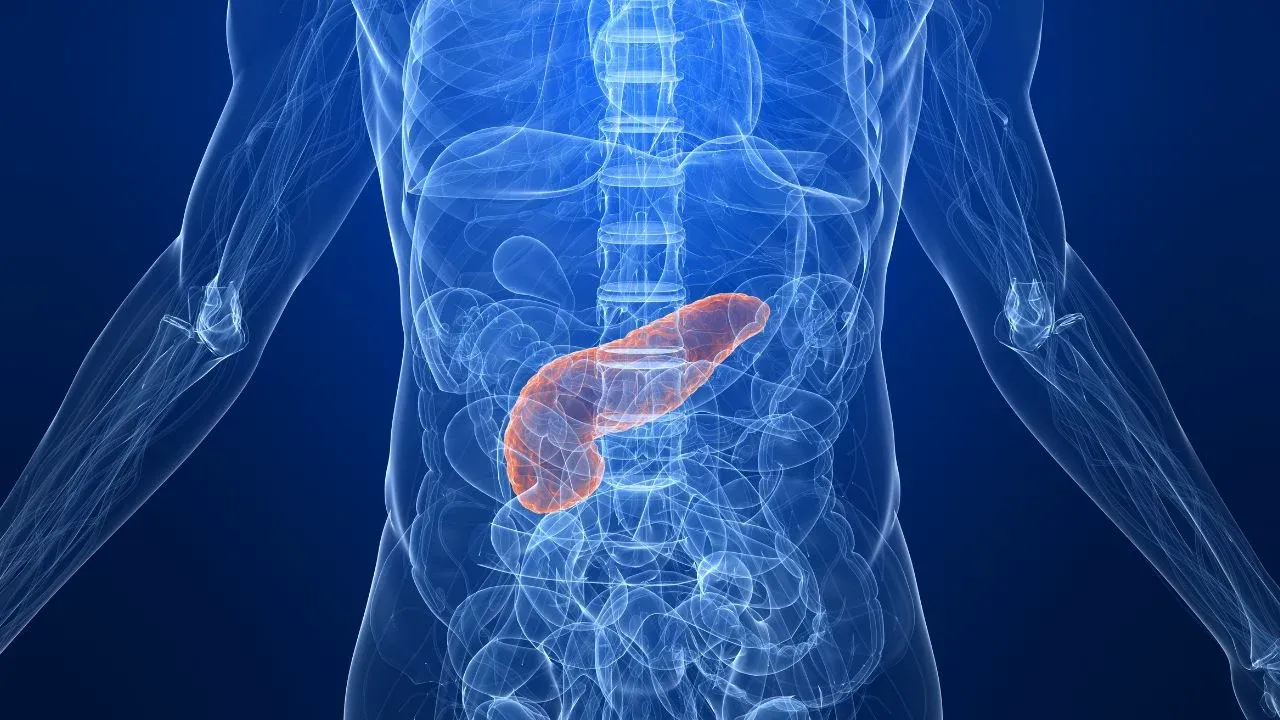 Pankreas kanserinde erken teşhisi kolaylaştıracak yeni kan testi