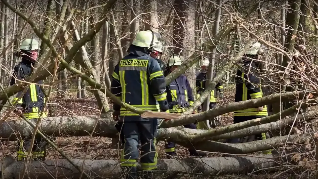 Almanya’da Paskalya yumurtası ararken ağaç devrildi, biri bebek üç kişi öldü