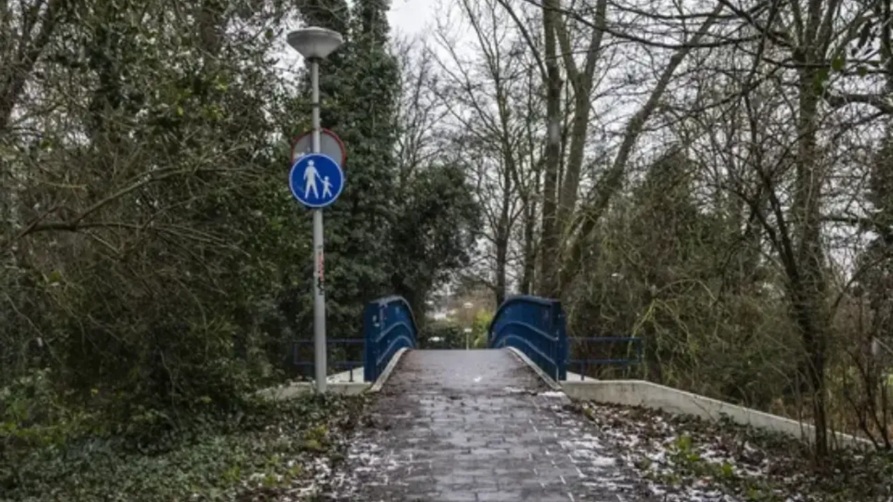 Amsterdam'da iki Suriyeli genci öldüren Türk'ün davasında yeni gelişme