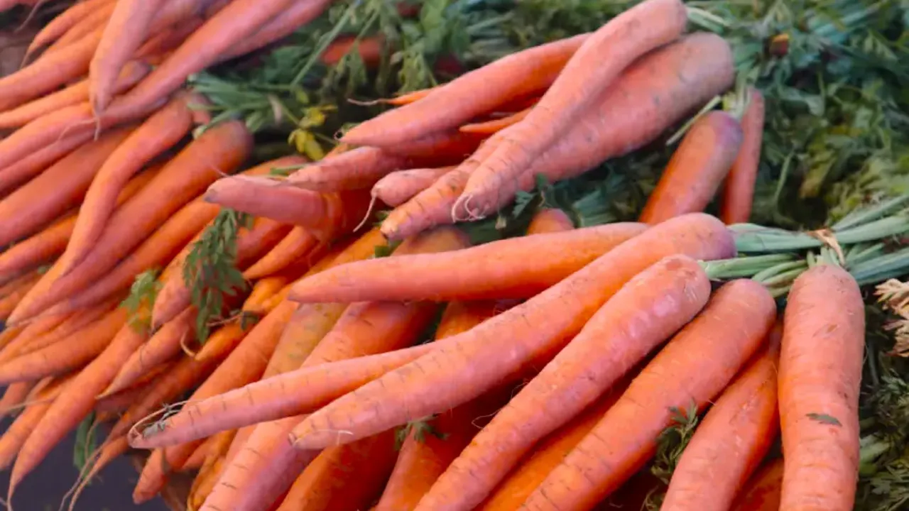 Fransa’da Lidl’de satılan organik havuçlar aşırı kimyasal nedeniyle geri çağrıldı