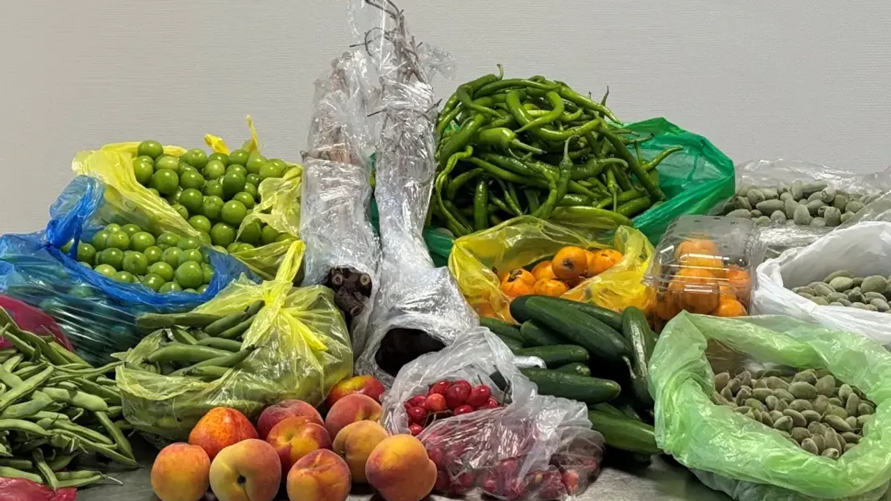 Almanya’da Türkiye’den gelen çiftin bagajından 60 kilo meyve ve sebze çıktı
