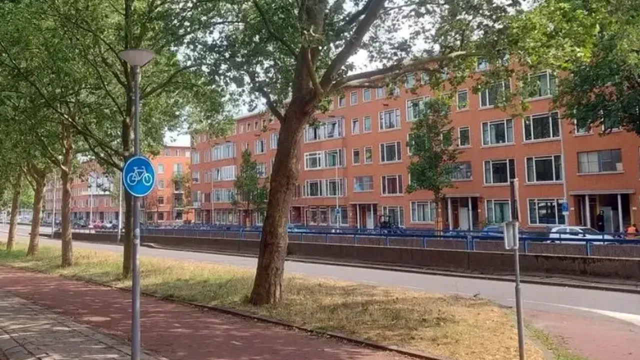 Hollanda'da ev fiyatlarındaki yükseliş yeniden hız kazandı