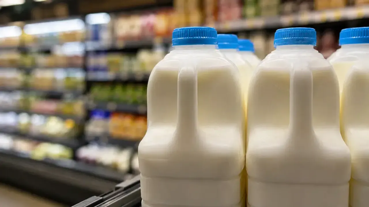Hollanda'da plastik süt şişelerine depozito geliyor
