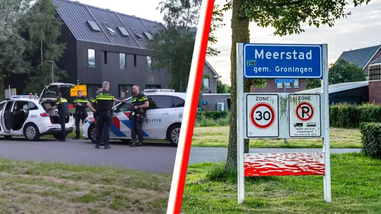 Hollanda’da bir çiftin 13 yaşındaki kızları tarafından öldürülmesiyle ilgili bilinenler
