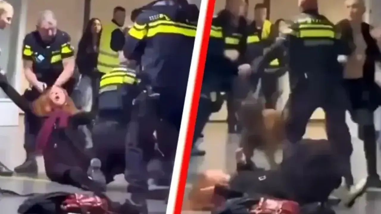 Hollanda polisi Filistinli sığınmacı hamile kadına müdahaleyi 'gerekli' buldu