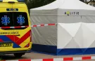 Hollanda'da 39 yaşındaki kadın, çocuklarının gözleri önünde silahla öldürüldü