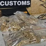 Bulgaristan sınırında 25 bin euroluk beyan edilmemiş altın ele geçirildi