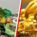 Gurbetçiler Türkiye'den dönerken yanlarında neler getirebilir?