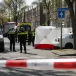 Hollanda'da kadın cinayetlerinin çoğunu eşler veya eski eşler işliyor