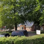 Hollanda’da koruyucu ailede cinsel istismar iddiası: Dört çocuk evden alındı