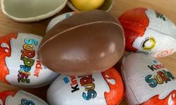 Hollanda’da da 2 çocukta Kinder Sürpriz kaynaklı salmonella enfeksiyonu tespit edildi!