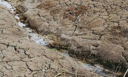 Avrupa'da kuraklık alarmı! Su kullanımı kısıtlanıyor