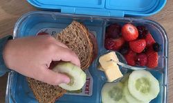 Hollanda’da ilkokullarda ücretsiz öğle yemeği dağıtılacak