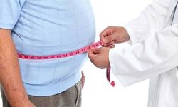 Hollanda’da düşük gelirlilerde obezite ve tip2 diyabet hastalığı daha yüksek