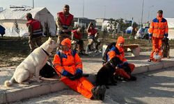 Hollanda’dan giden ikinci ekip 184. saatte bir kızı(13) enkaz altından canlı çıkarttı