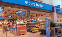 Albert Heijn Hollanda’da satılan dondurulmuş yaban mersinlerini geri çağırdı