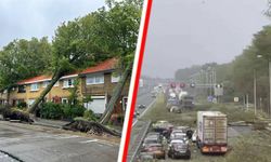 Hollanda’da şiddetli fırtına: Bir kişi hayatını kaybetti!