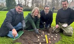 Türkiye ve Hollanda arasındaki tarihi dostluk ‘İstanbul lalesi’ ile Keukenhof’da buluştu